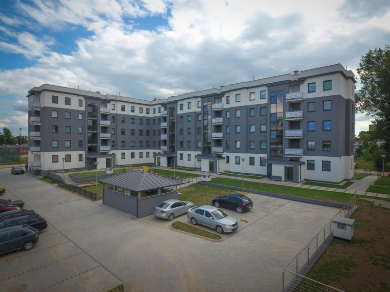 Wasilewski Developer